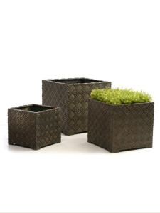 Federal planter